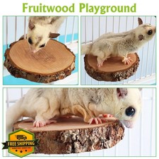 BNOSDM 6pk Sugar Glider Toys Wood Perch Stand Climbing Cage