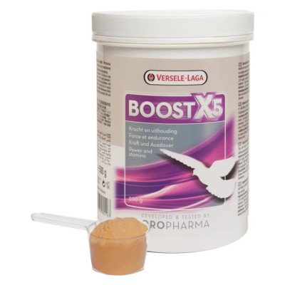 Oropharma Versele-Laga Boost X5 Powder - Racing Pigeon Muscle Support (500 g)