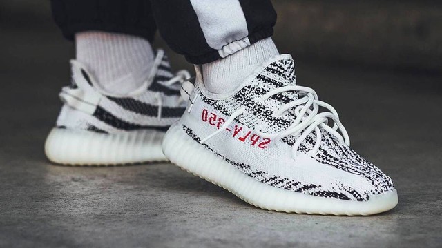 adidas 350 zebra