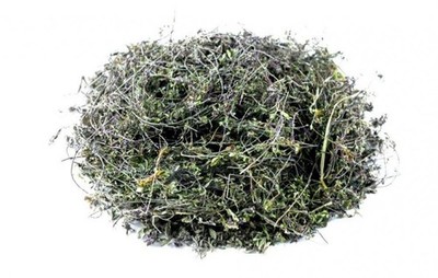 Thymus Longicaulis Tea | Organic Wild Thyme Herbal Tea | Digestive & Wellness
