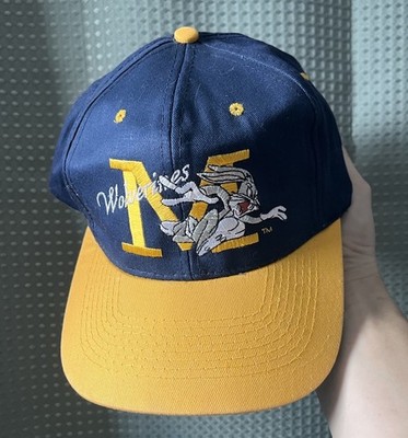 Vintage 90s Looney Tunes Warner Bros Michigan Wolverines SnapBack Hat Cap