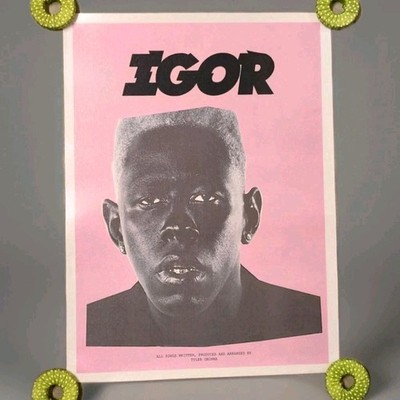 Tyler The Creator Vote For Igor Poster (Pink And Green) 12