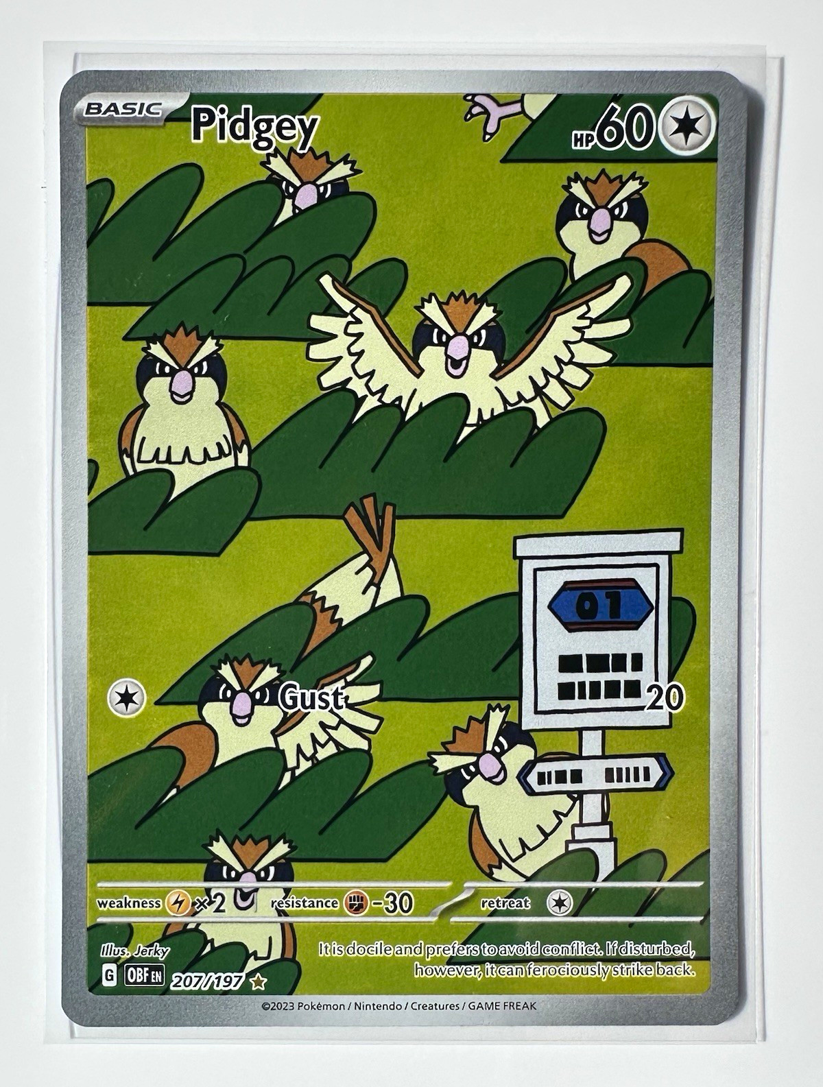 Pidgey 207/197 SV03: Obsidian Flames Holo IR Basic EN 60HP Pokémon TCG 6+