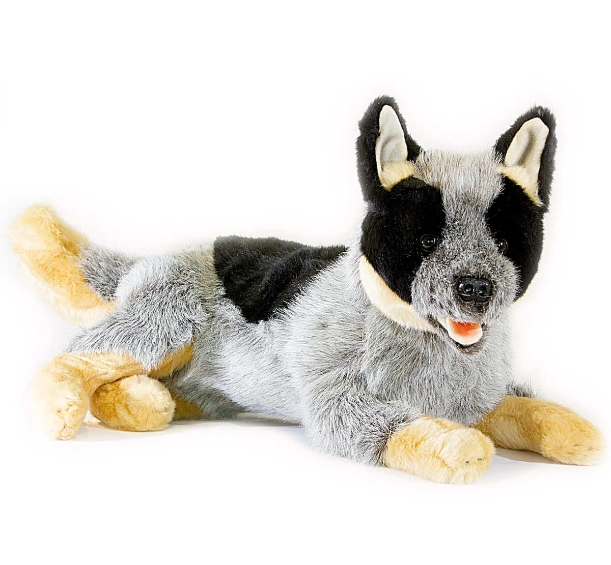 ~❤️~BOCCHETTA GALLAGHER Australian Cattle Dog 44cm 17 Blue Heeler soft  toy~❤️