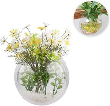 2Pack Wall Hanging Fish Tank,Mounted Fish Bowl Betta Tank Fish Plant Tanks Hangi