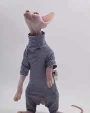 Sphynx Cat Clothes Four-legged Soft and Durable Hairless Cat Clothes for Devon R