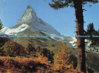 D286957 Matterhorn Le Cervin Stehli 1969