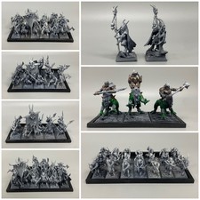 BEASTMEN BRAYHERDS ARMY/FORCE WARHAMMER FANTASY THE OLD WORLD BEASTS OF CHAOS