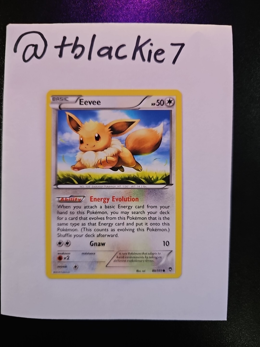 Pokémon TCG Eevee Furious Fists 80/111 Regular Card