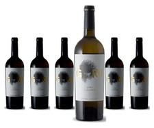 6 x EGO Goru El Blanco – 2025