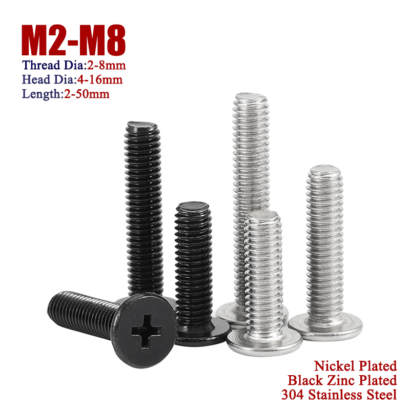 Phillips Flat Head Screws 304 Stainless Steel/Black Zinc Plated