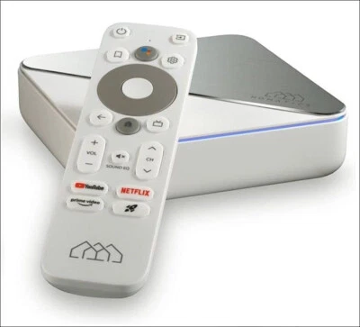 Homatics Box R 4K Plus Android 11 TV Reproductor multimedia IP Google Netflix Disney Store