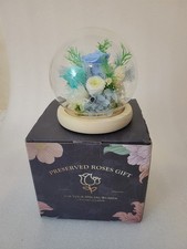 Long-Lasting Real Rose Flower, Unique Preserved Floral Gift for All Occasions