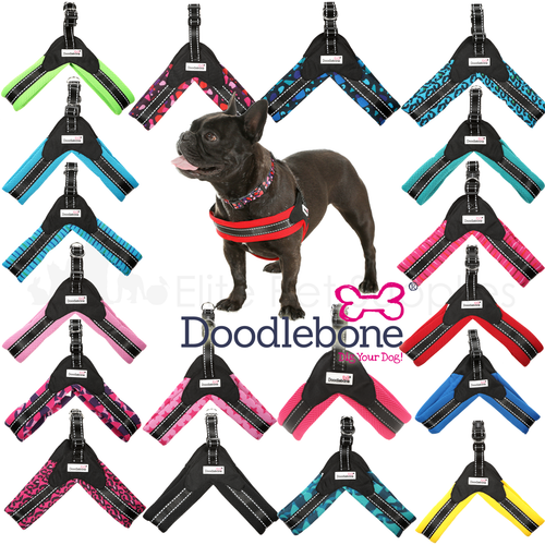 Doodlebone Boomerang Dog Harness Soft Padded Breathable Reflective Easy