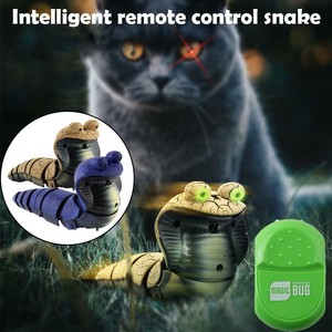 remote control cat