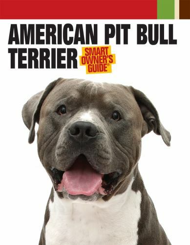 Staffordshire Bull American Pitbull Terrier Adoption Gulf Coast Bull