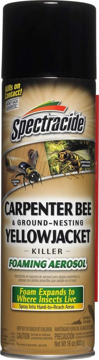 Spectracide Carpenter Bee & Nesting Yellowjacket Killer Spray 16Oz