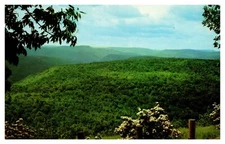 PA Pennsylvania High Knob Loyalsock Creek Valley Panoramic Vista Chrome Postcard