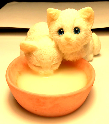White Kittens & Milk  ( A )