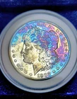 1882-P Morgan Silver Dollar Coin  Proof Like Toning  PL