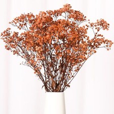 Babys Breath Dried Flowers Bouquet-17'' 1800 Ivory Dry Flowers Natural Gypso...