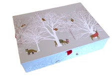 Woodland Wonderland Deluxe Boxed Holiday Cards Peter Pauper Press 1st Ed 2019