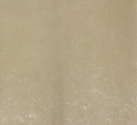 Vliestapete Putz-Optik Uni Goldbeige Metallic Coloretto 56840 (4,46€/1Qm)