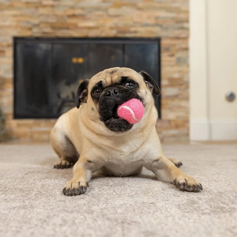 4x Mini Dog Tennis Balls for Small Dogs Exercise Training Interactive Fetch Toys - Image 3 of 4