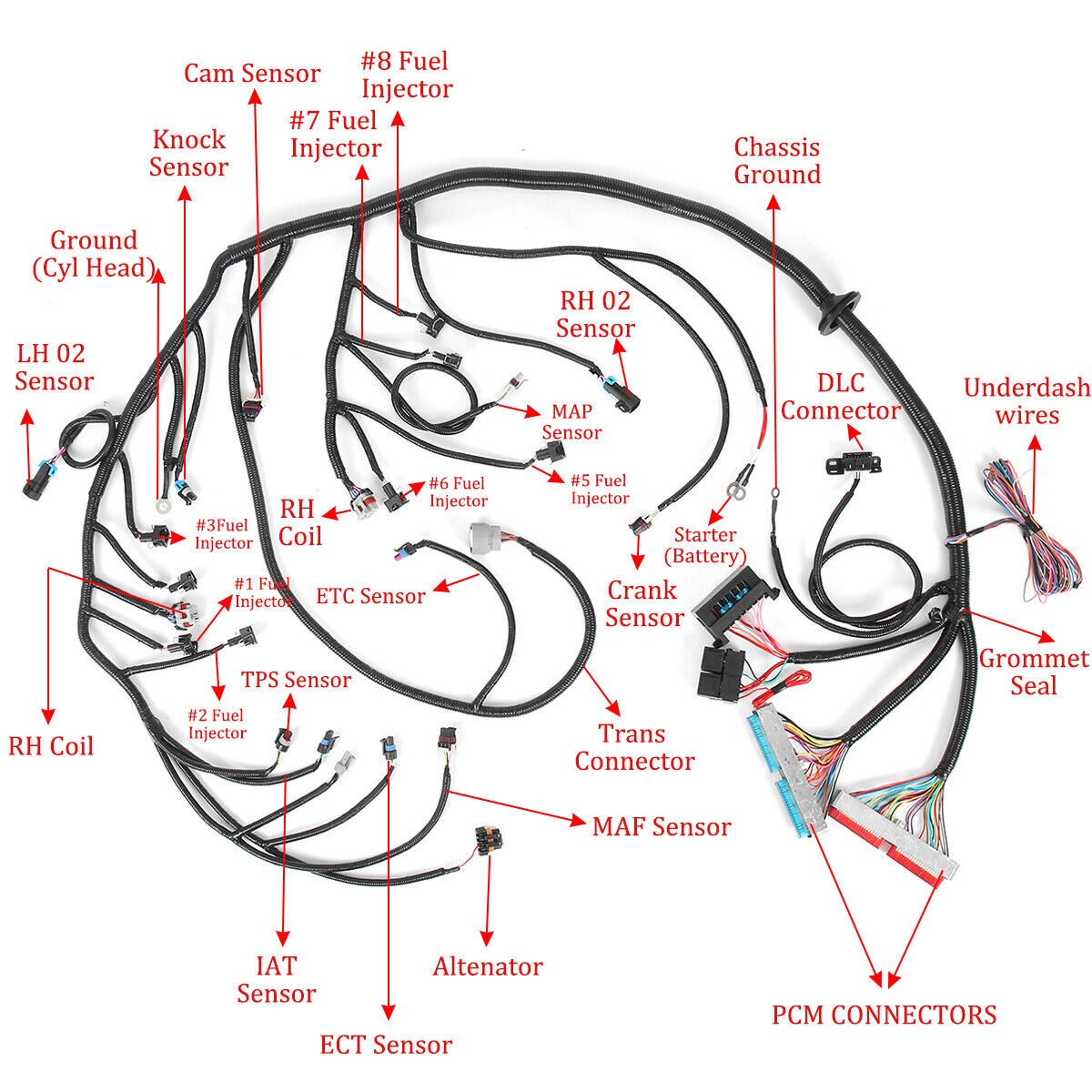LS1 4L60E Stand Alone Harness For LS SWAP 4.8 5.3 6.0 97-06 Drive by Cable DBC