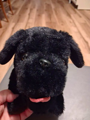 Black Soft Plush Stuffed Dog Small 6-14 in Age 3-5 Years All Occasions