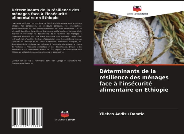 Yilebes Addisu Damtie | DéTerminants De La RéSilience Des MéNages Face à...-image