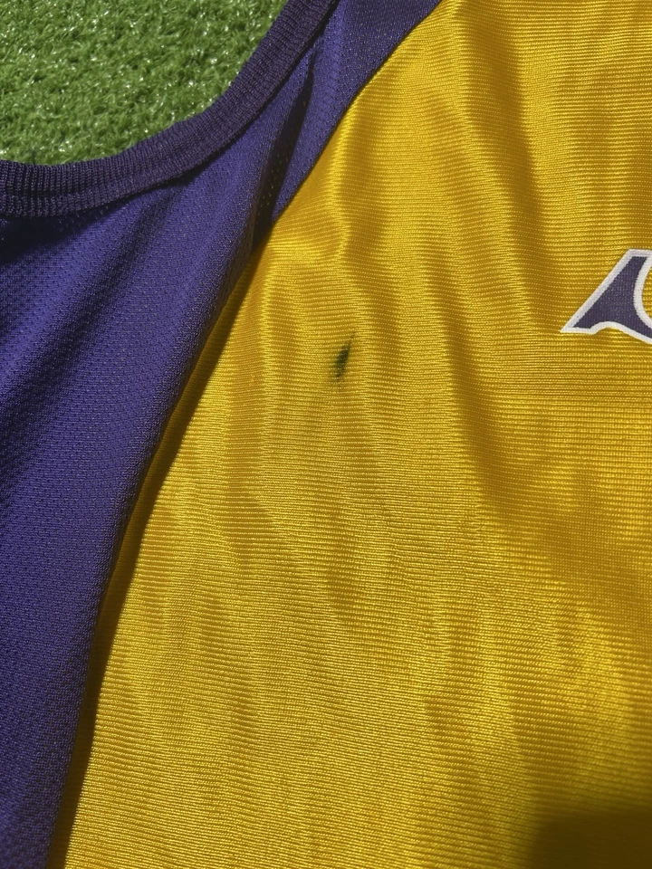 Vintage Champion Los Angeles Sparks Lisa Leslie #9 Jersey Womens Large WNBA - Image 4 of 4