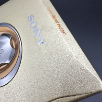 SONY MZ-E501 MD WALKMAN Minidisc Player Does not work with Gum