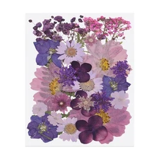 30 Pcs Dried Pressed Flower Leaves Bulk for Resin, Forest Series Dark Purple