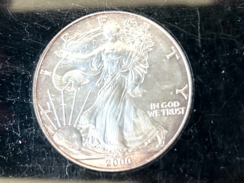2000 U.S. MILLENNIUM TONED MS EAGLE AND PROOF SACAGAWEA DOLLAR SET IN HOLDER - Picture 3 of 10