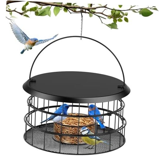 Bluebird Feeders for Outdoors Hanging - Birdfeeder Bluebird Feeder- Black