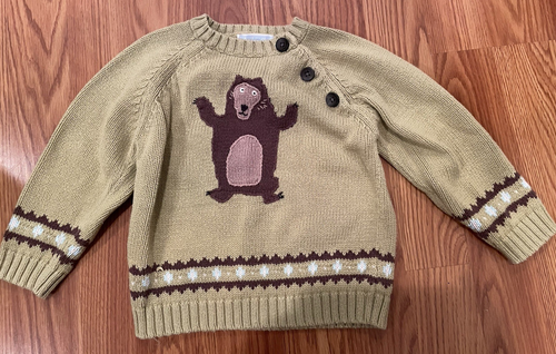 Janie and Jack Autumn Timber Bear Sweater Size 18-24 Mons - 第 1/4 張圖片