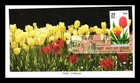 US COVER TULIP SPRING GARDEN FLOWERS FIRST DAY ISSUE ALL OVER MYSTIC