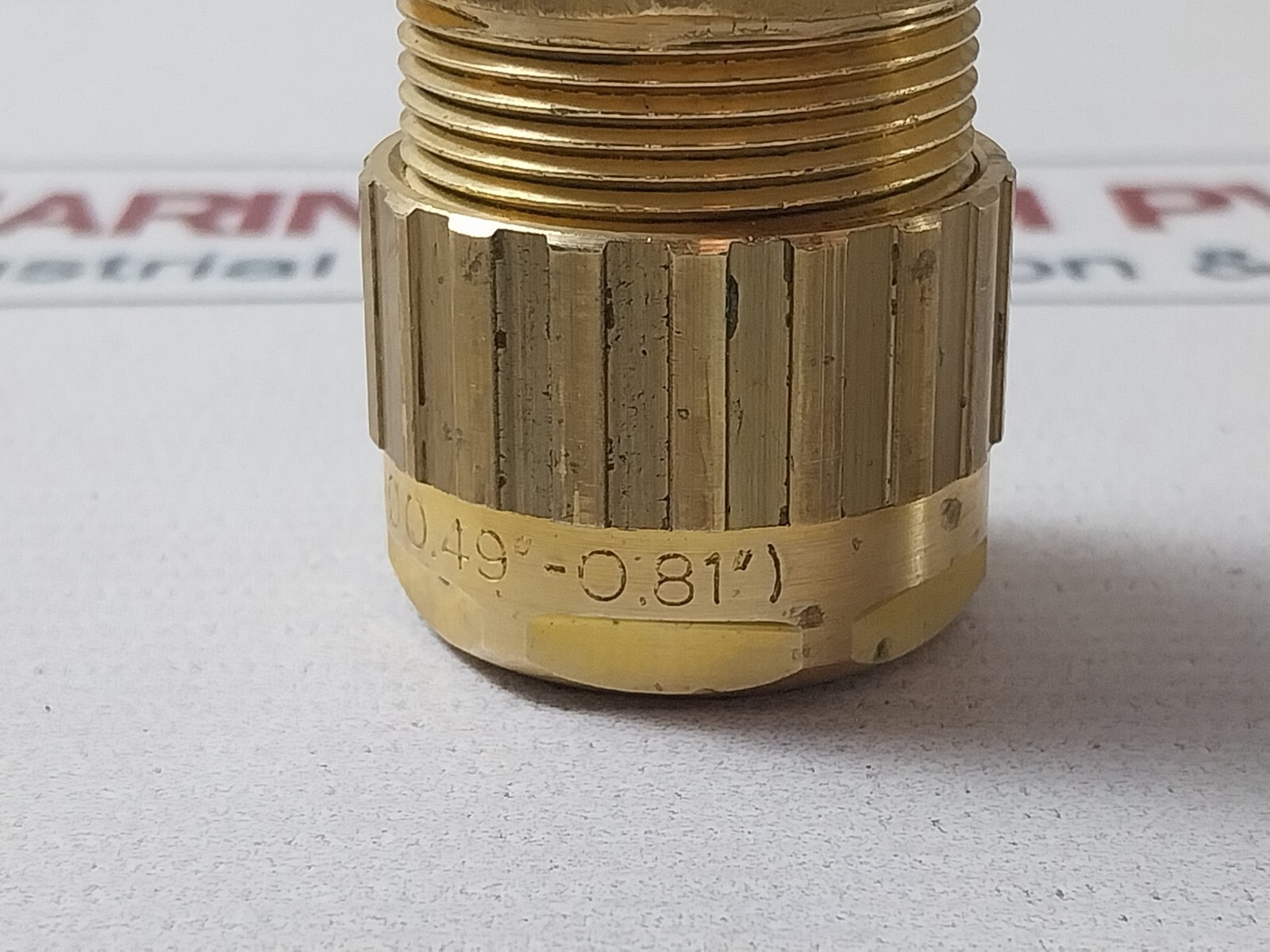Picture 22 of 22