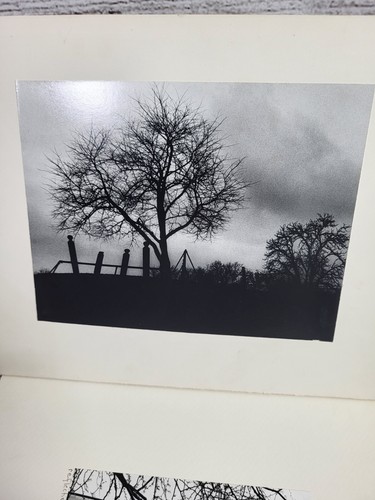 Vintage Black & White Photos Cardstock Places, People Cincinnati Bundle - Picture 6 of 13