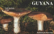 guyana Bloc 142 oblitéré 1991 Champignons