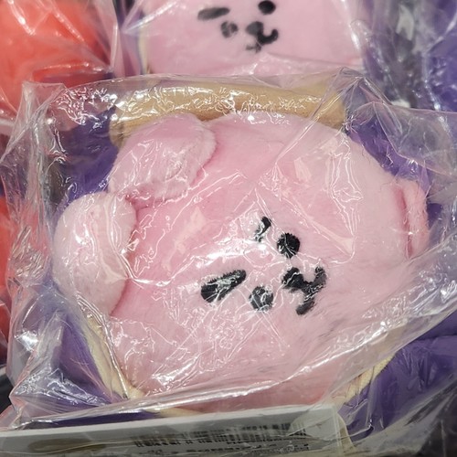 BTS BT21 Camp fire tent doll Korea KOYA TATA SOOKY COOKY CHIMMY RJ MANG - Picture 4 of 15