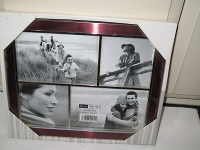 4-Opening Matted Collage Frame, Displays Two 4X6 Pictures & Two 4 x 4 Pictures
