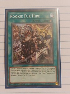 Rookie Fur Hire PHRA-EN065 Common 1st Edition Phantom Rage