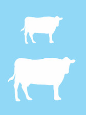Stencil Joanie Farmhouse 5", 7" Dairy Cow Country Kitchen DIY Art Signs