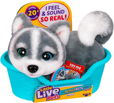 My Really Real Puppy Mini Aurora the Husky, Interactive Plush Toy with Display B