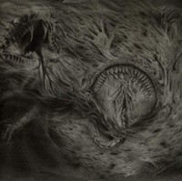 Nidsang - Into The Womb Of Dissolving Flames - Cd - G3Z