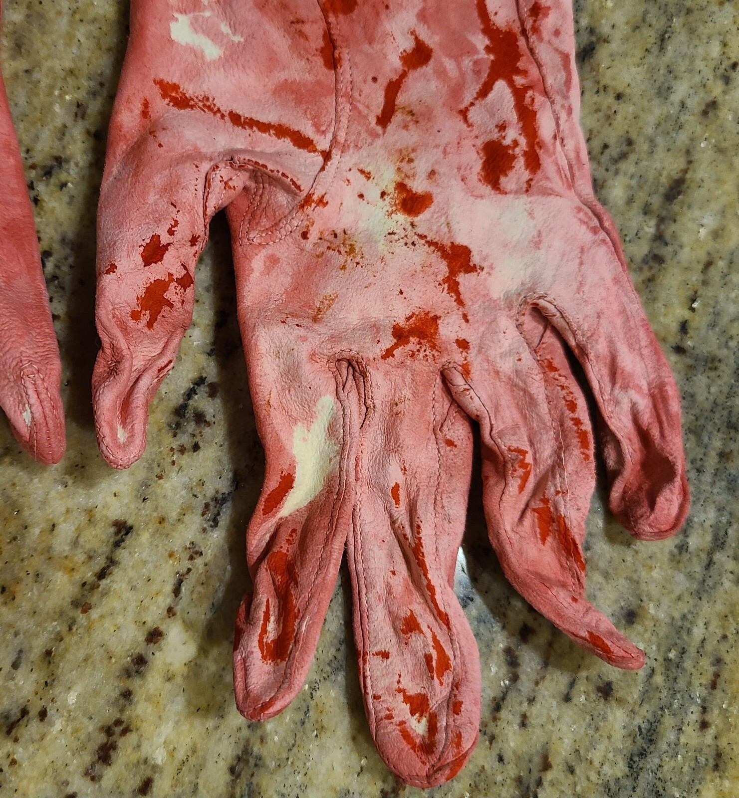 Picture 7 of 16