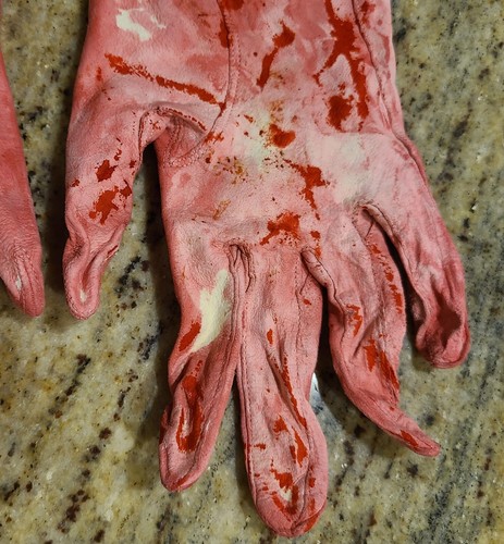 Vintage Size L/XL Suede Gloves Blood Drenched Fake Bloody Horror Zombie War - Picture 7 of 16
