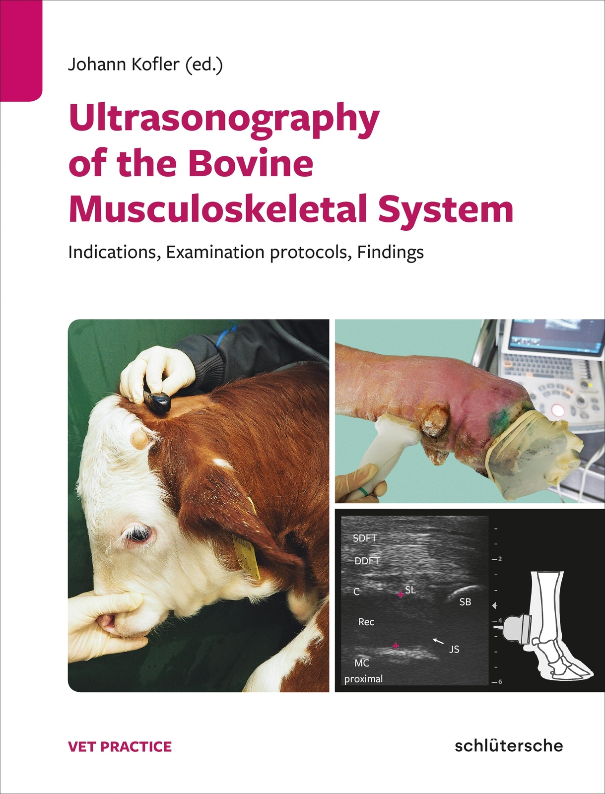 Thumbnail - Ultrasonography Of The Bovine Musculoskeletal System